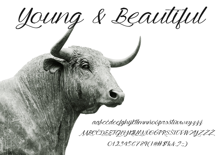 Czcionka Young & Beautiful28