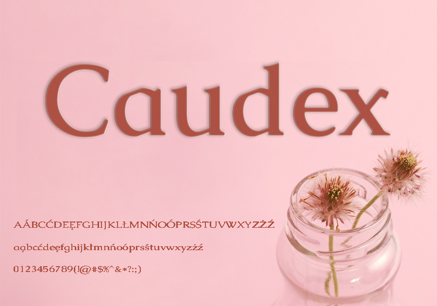 Caudex