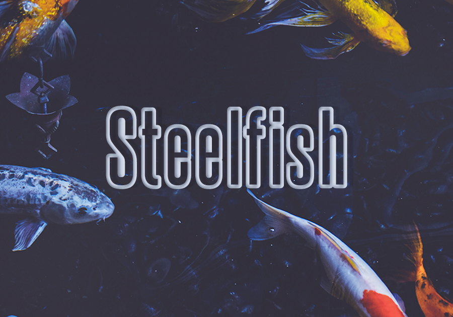 Steelfish