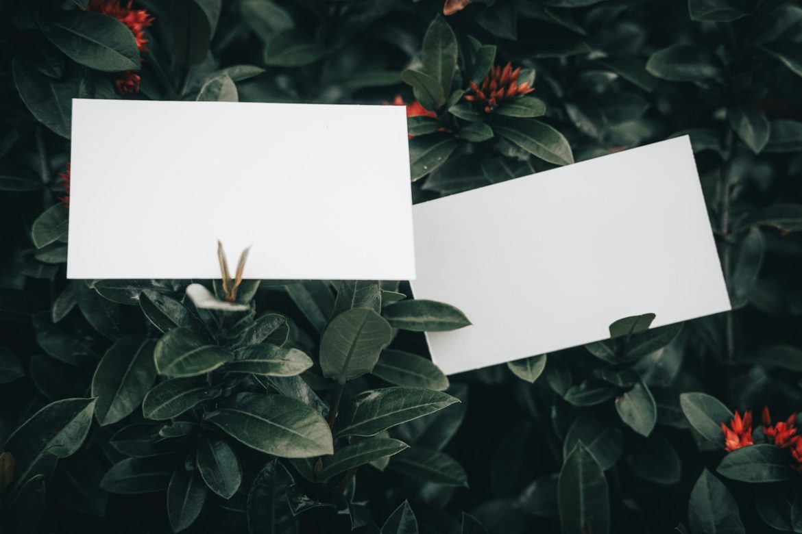asep-rendi-Ac6_r6ZZZcI-unsplash
