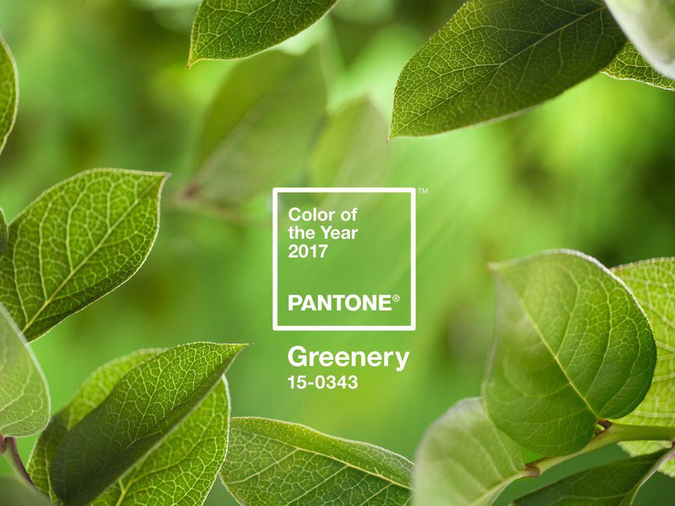 Pantone wybory koloru roku