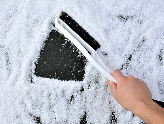 skrobaczka z miotełką druk online 2